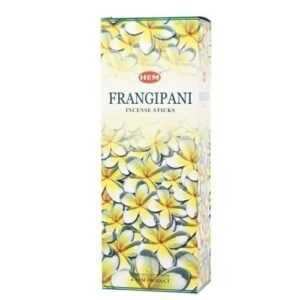 Frangipani