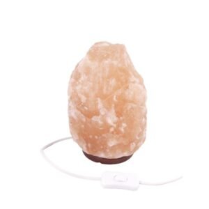 Zoutlamp 8 tot 10kg - Himalayazout / Zoutsteen (Haliet) - c.a. 32x17cm